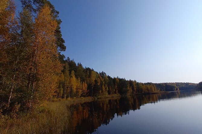 Guided E-Fatbike Trek in Repovesi National Park - Why Choose a Guided E-Fatbike Trek?
