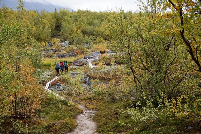 Guided Easy Hike in Finland Deepest Gorge in Pyhä-Luosto National Park - Overview and Details