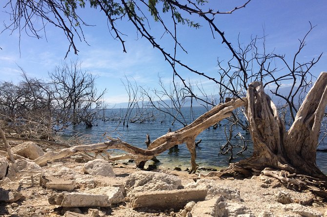 Guided Expedition to Lake Enriquillo  - Dominican Republic - Overview of Isla Cabritos National Park