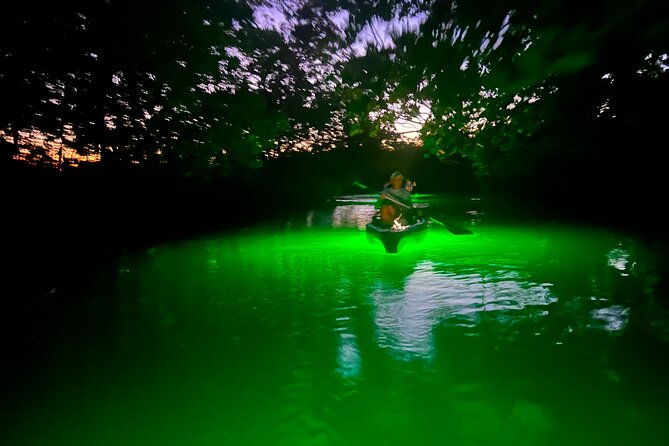 Guided Glow LED Kayak Sunset Activity in Bonita Springs - Activity Overview