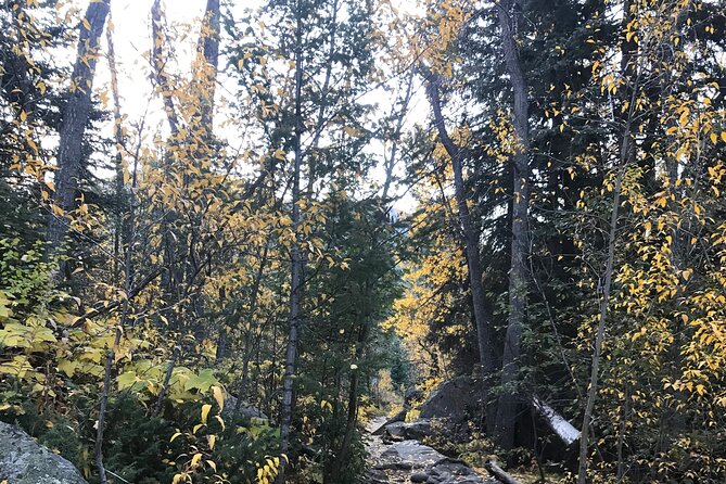 Guided Hiking Experience of Iconic Mirror Lake & Lone Eagle Peak - Tour Details