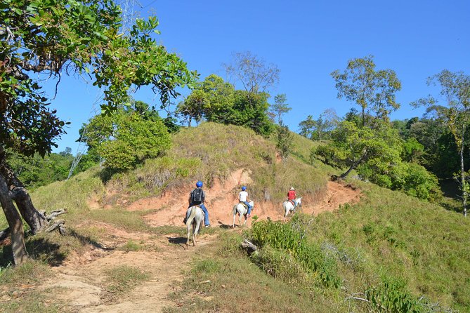 Guided Horseback Riding Excursion in Manuel Antonio  - Quepos - Group Size and Availability