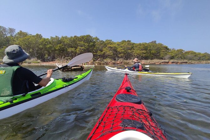 Guided Kayak Tour Inside the Stagnone of Marsala - Tour Highlights