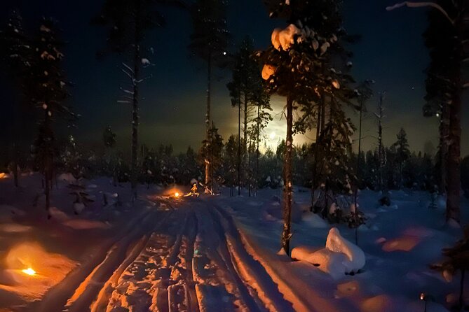 Guided Late Night Finnhorses Ride Experience in Rovaniemi - Overview and Logistics