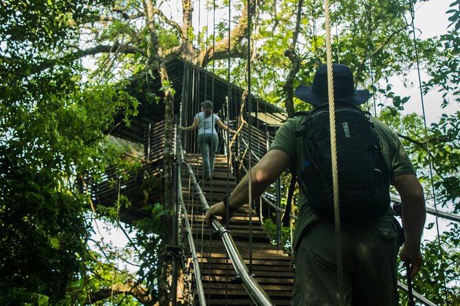 Guided Private Forest and Waterfalls Hike With Lunch Included  - Playa Hermosa - Activity Overview