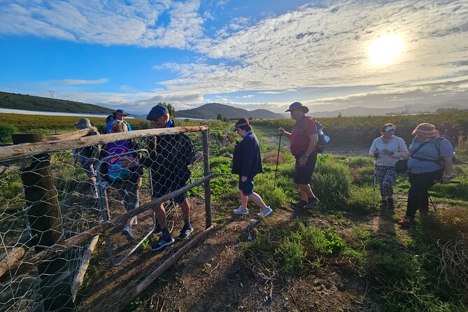 Guided Private Wine Walk and Fossil Hunt in McGregor - Itinerary and Accommodation