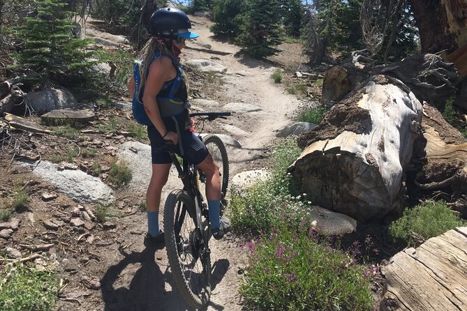 Guided Scenic Bike Experience Above Lake Tahoes East Shore - Tour Highlights