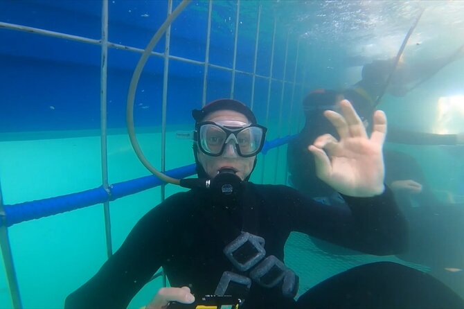 Guided Shark Cage Diving With Hookah Air Supply in Gansbaai - Meeting Point and Pickup Options