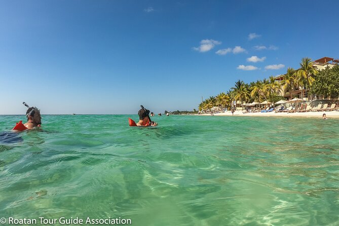 Guided Snorkeling Adventure in West Bay - Pricing and Booking Details