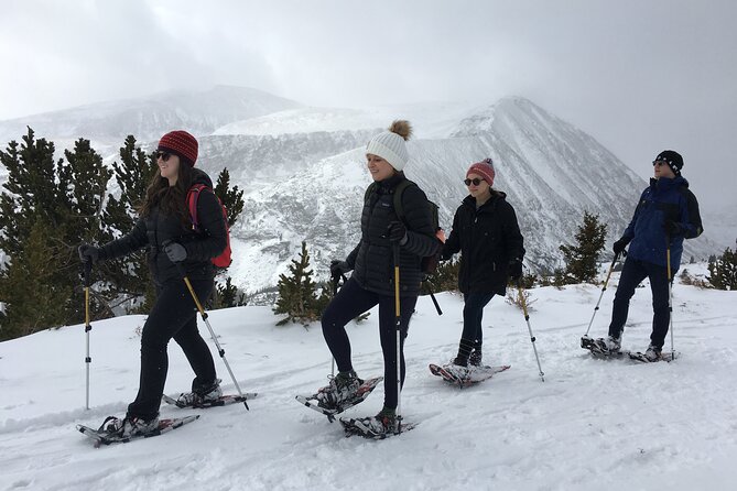Guided Snowshoe Tour Near Breckenridge - Half Day, All Abilities - Meeting Point and Logistics