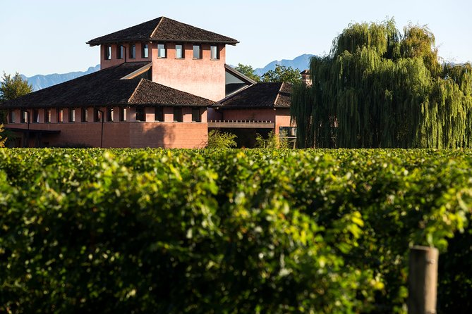 Guided Tasting With Our Team - Team Introduction and Background Information