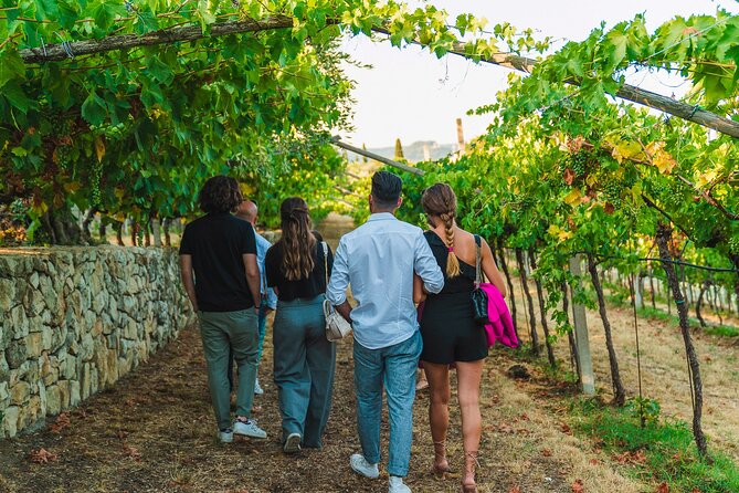 Guided Tour in a Venetian Villa With Wine Tasting in Valpolicella - Tour Highlights