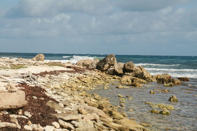 Guided Tour in Kralendijk  - Bonaire - Tour Overview