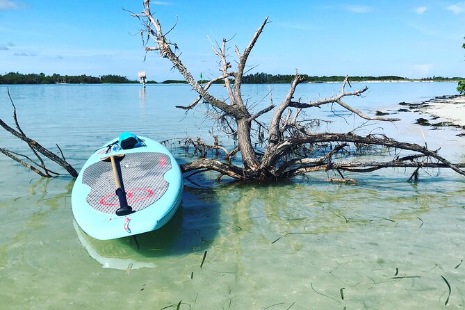 Guided Tour Johns Pass Mangrove Tunnel - Tour Schedule