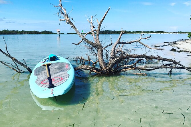 Guided Tour Johns Pass Mangrove Tunnel