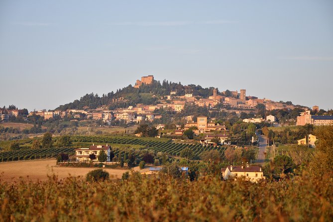 Guided Tour of the Winery in Bertinoro (Forlì-Cesana) With Wine Tasting - Tour Highlights