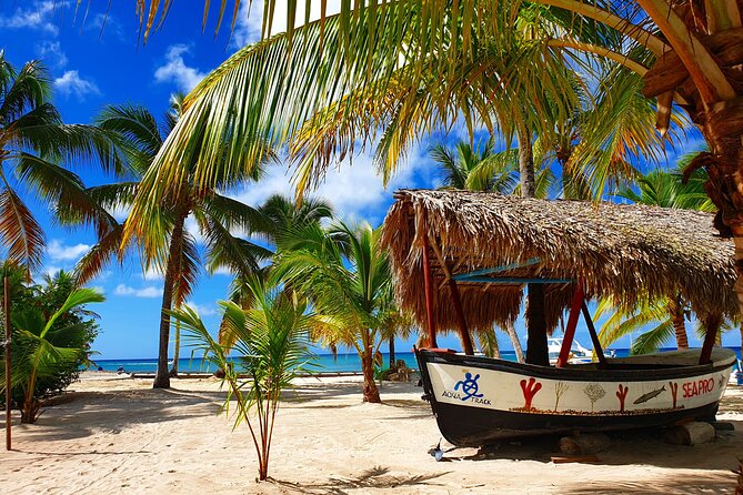 Guided Tour to Saona Island From Punta Cana - Included Activities in Tours
