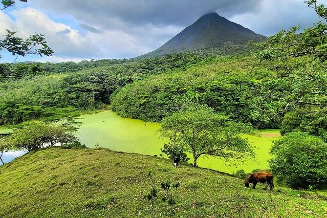 Half Day Adventure From Arenal -2 Tours in 1, 4 Options to Choose - Tour Options Available