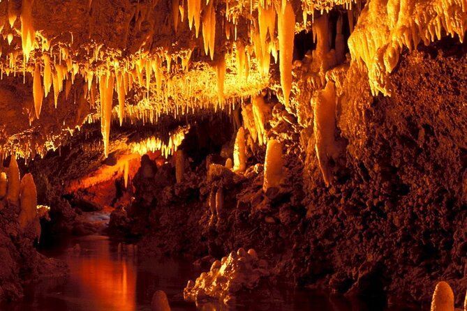 Half-Day Barbados Caves and Critters Tour With Pick up - Meeting and Pickup Details