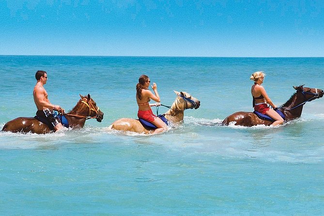 Half Day Beach Horseback Riding in Ocho Rios Lunch - Inclusions