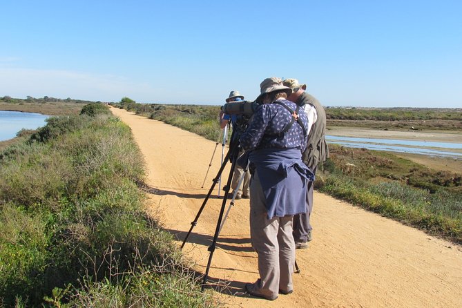 Half-Day Birdwatching Around Faro - Best Birdwatching Spots in Faro