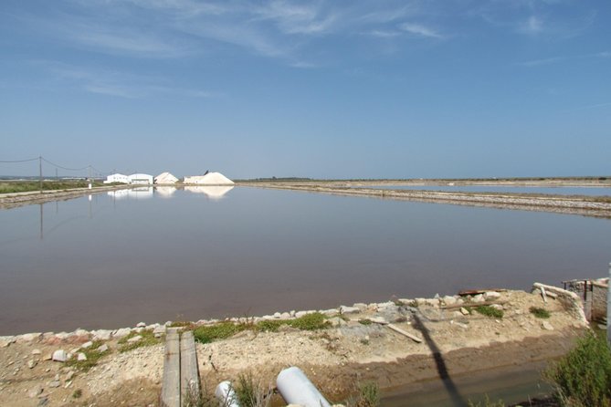 Half-Day Birdwatching Around Tavira - Duration and Admission Information