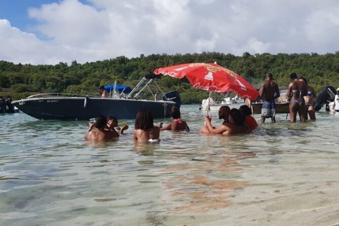 Half-Day Boat Trip From Le Robert - Boat Trip Details