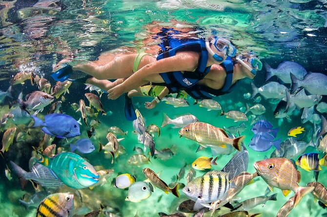 Half Day Catamaran Tour in Punta Cana - Tour Highlights