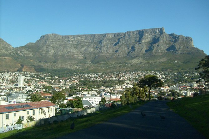 Half Day City & Table Mountain Tour - Tour Overview