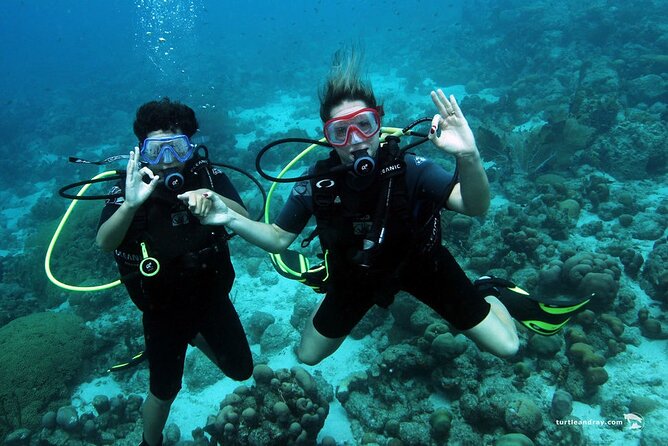 Half Day Diving Adventure With Transportation Included - Inclusions and Logistics