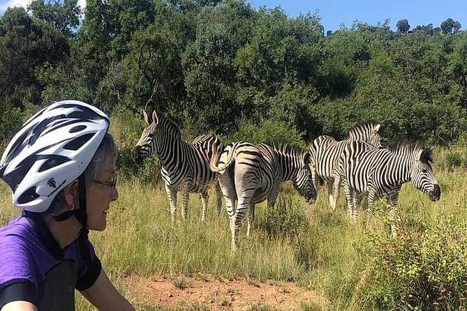 Half Day E-Biking With Wildlife Watching in Pretoria - Experience Confirmation and Requirements