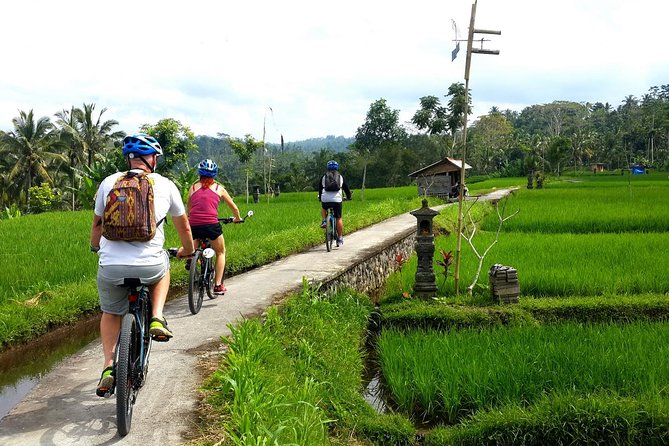 Half-Day Electric Cycling Tour of Ubud - Pricing and Booking