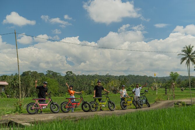 Half-Day Electric Fat Bike Tour of Ubud - Tour Details
