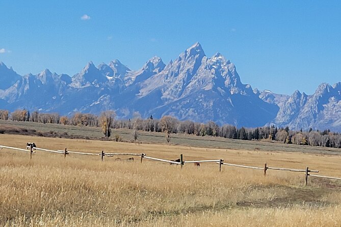 Half-Day Grand Teton National Park Wildlife Safari Private Tour - Tour Details