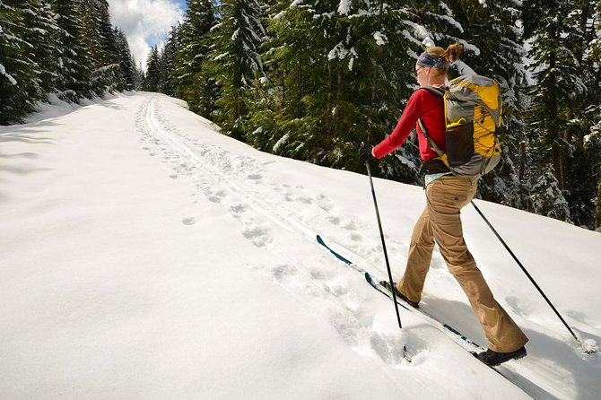 Half-Day Guided Backcountry Ski Touring Experience Near Incline Village - Experience Overview