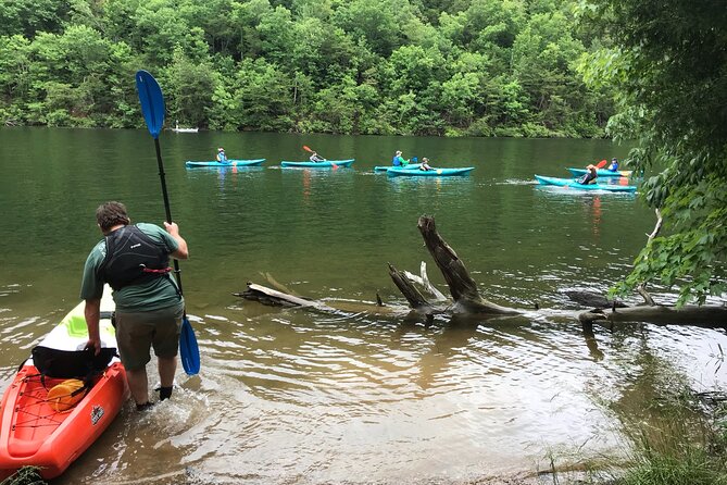 Half-Day Guided Kayaking in the Smoky Mountains of Tallassee - Experience Details