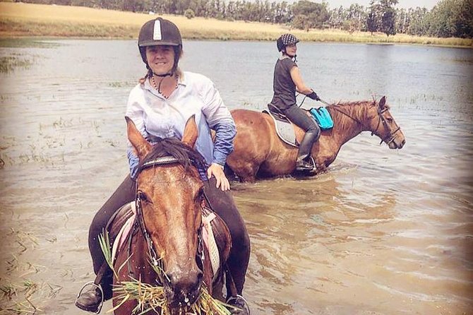 Half Day Horseback Wine Tour - Tour Details and Itinerary