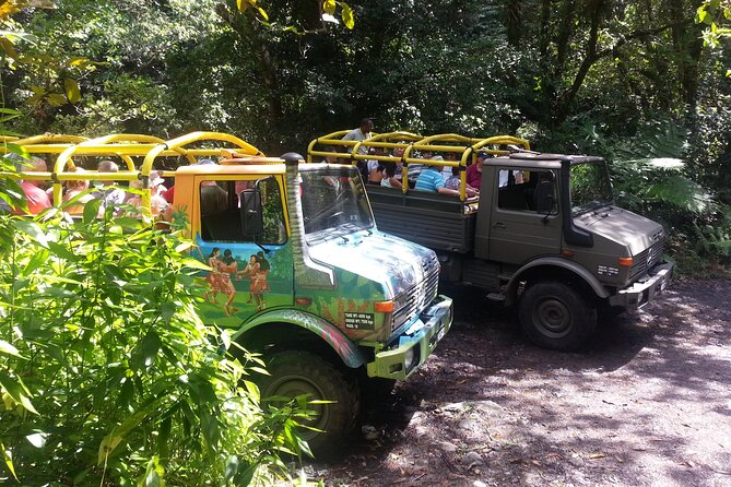 Half Day Jeep Safari - Botanical Gardens and Sisserou Parrot
