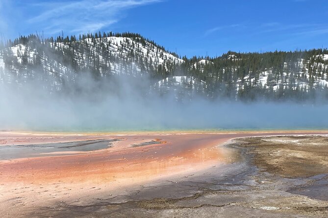 Half-Day Private Geyser Basin Tour of Yellowstone - Tour Overview and Highlights