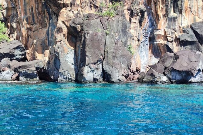 Half Day Private Tour South Martinique (Coral Beds & Turtles) - Itinerary Overview