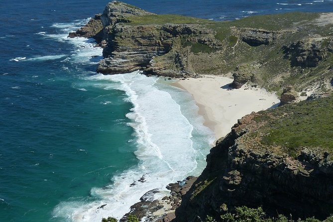 Half-Day Private Tour to Cape Peninsula With Local Guide - Tour Highlights