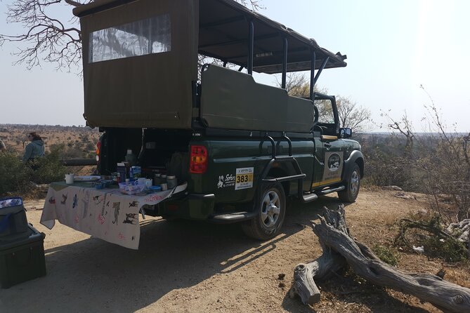 Half Day Safari Through Central Kruger - Wildlife Spotting Opportunities