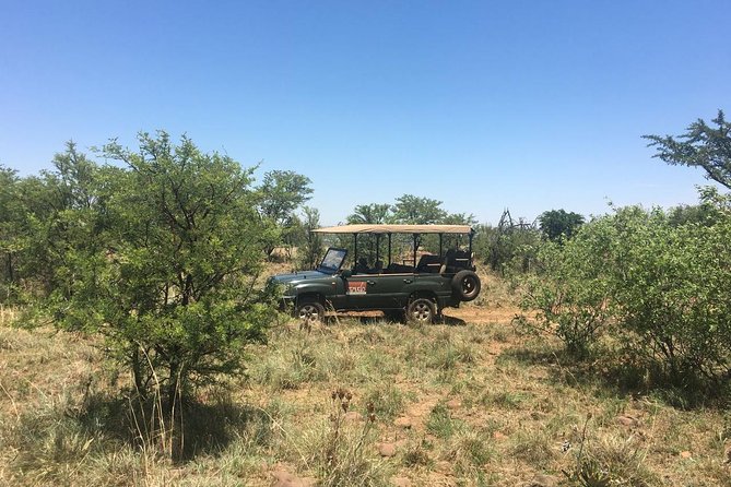 Half Day Safari Tour From Johannesburg - Safari Tour Highlights