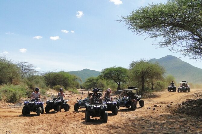 Half Day Self Driving Quad Bike in Cape Town Safari Private Tour - Additional Information