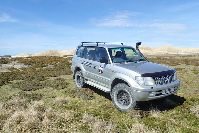 Half-Day Small-Group Penguin-Watching Tour, Falkland Islands - Tour Highlights