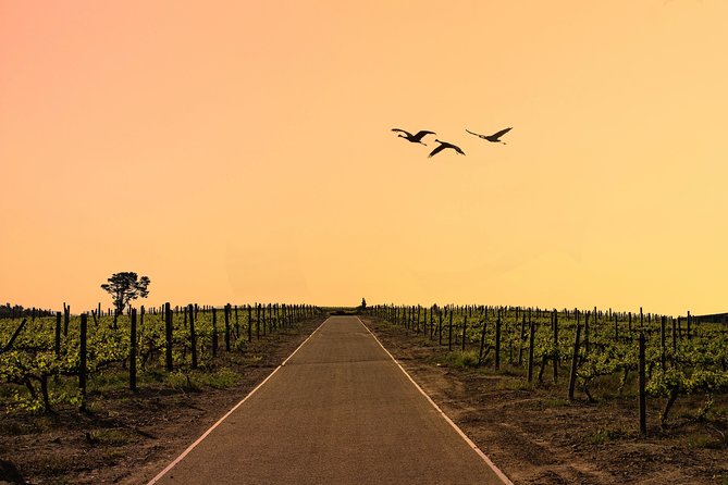Half-Day Stellenbosch Winelands Tour From Cape Town - Pricing and Cancellation Policy