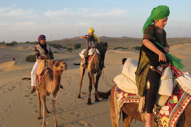 Half Day Sunset Camel & Cultural Adventure - Tour Overview