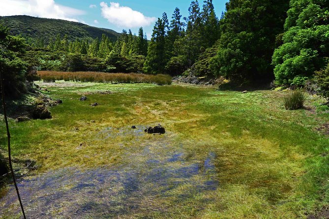 Half-Day Terceira Island Coastal Hike  - Praia Da Vitória - Overview and Details
