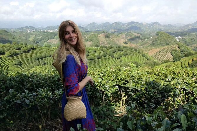 Half-day Tour: Largest Tea Plantation & Amazing Xianggong Hill - Tour Overview