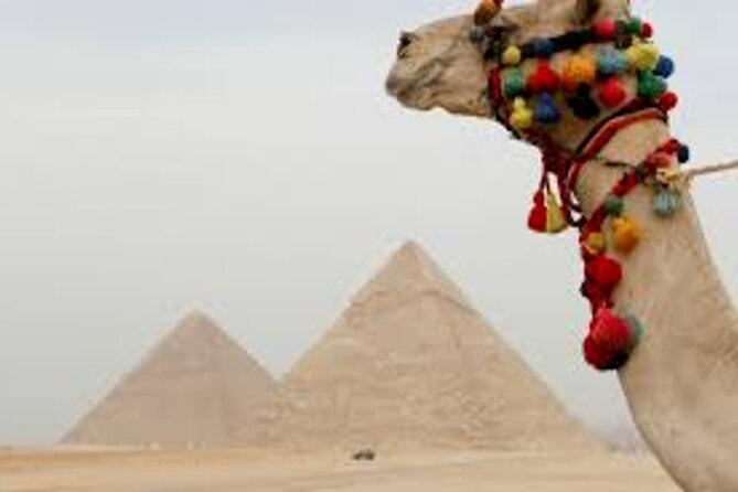 Half Day Tour To Giza Pyramids And Sphinx - Booking Details